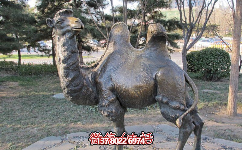 創(chuàng)意大型玻璃鋼駱駝雕塑，在草地上擺放，一眼回頭