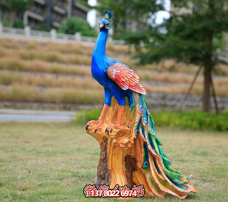 彩繪孔雀玻璃鋼雕塑，為公園街道擺放添彩